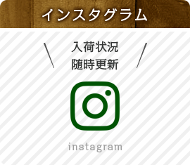 インスタグラム